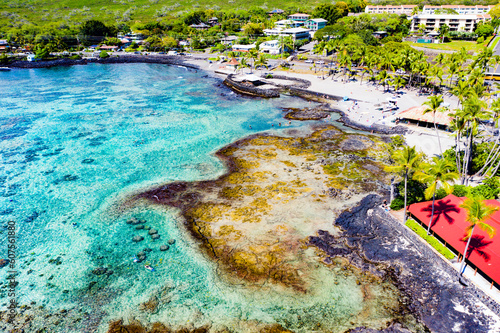 Aerial Delight: Kealakekua Bay's Captivating Marine Life