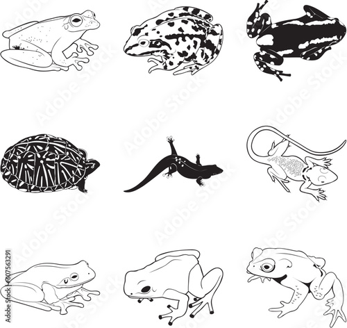 Misc reptiles and amphibians, vector clipart set