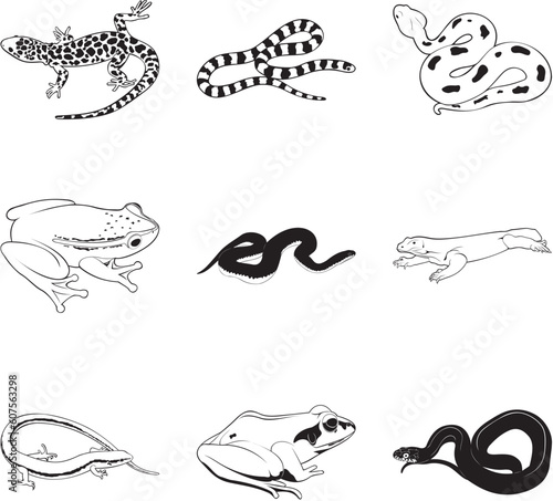 Misc reptiles and amphibians, vector clipart set