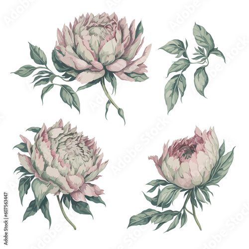 Set of Pink and Green Peonies Flower Arrangement Watercolor Illustration