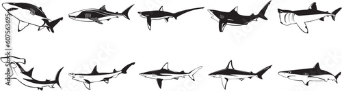 Collection of smooth vector EPS illustrations of various sharks