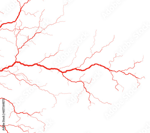 Editable vector illustration of red blood vessels