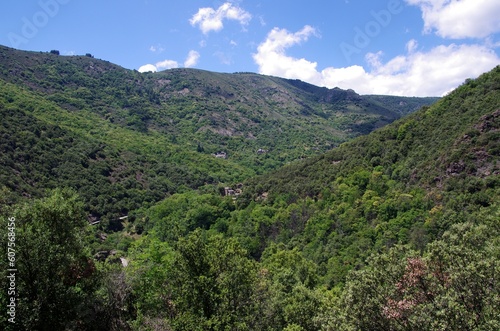 Rural landscape near Thines in Ardeche in France, Europe