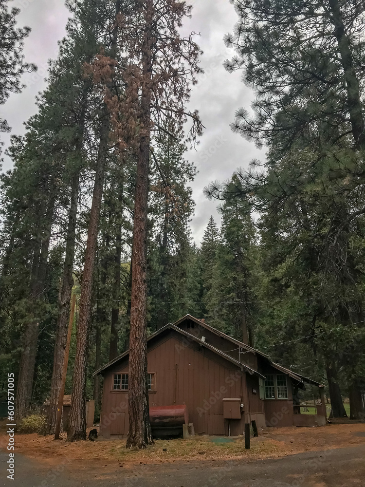 Mount Shasta City Park in California Mount Shasta City Park in California