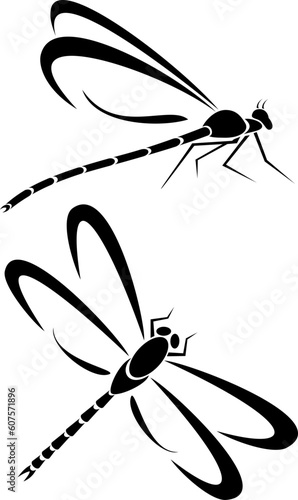 Two dragonfly tribal tattoos