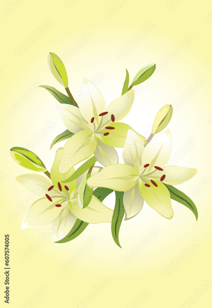 Three lily, vector grunge floral background Three lily, vector grunge floral background