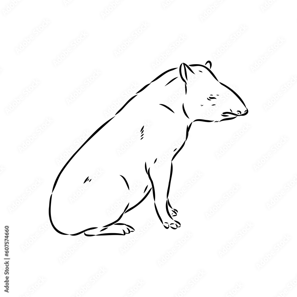 Fototapeta premium Tapir animal sketch engraving vector illustration. Scratch board style imitation. Hand drawn image.