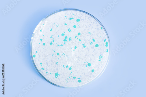 transparent gel with pellets in a Petri dish. On a blue background.