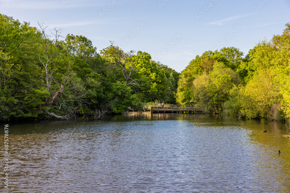 Connaught Water is one of the most popular lakes to walk around in Epping Forest, largely because of its wildlife and close proximity to Chingford. Connaught Water is one of the most popular lakes to walk around in Epping Forest, largely because of its wildlife and close proximity to Chingford.