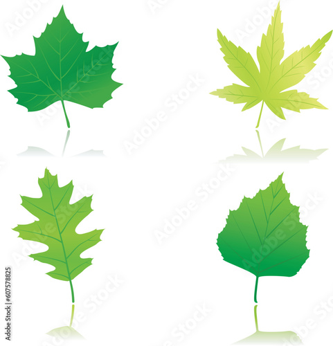 Maple, chestnut, oak and beach leaves in different shades of green. Use of 12 global colors and linear gradients.