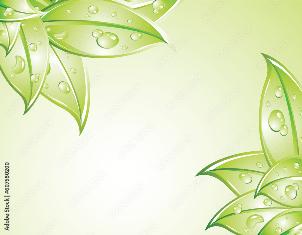 Leaves Background with water drops background Leaves Background with water drops background