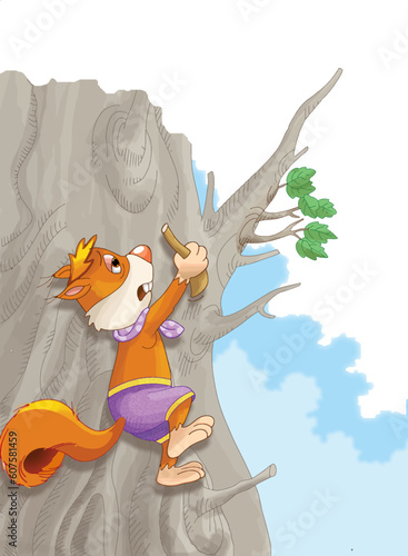 squirrel climbing tree, picking walnuts, tree, squirrel, animals, forest © Ali