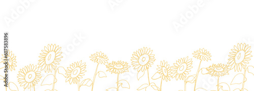 線画。夏のひまわりのシンプルベクター線画。向日葵の手描き背景素材。Line drawing. Simple vector line drawing of sunflowers in summer. Hand drawn background of sunflowers.