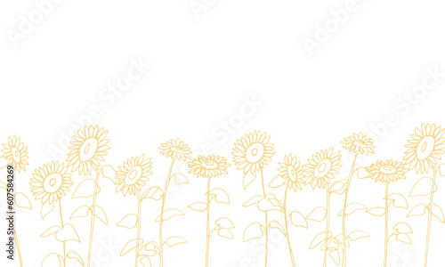 線画。夏のひまわりのシンプルベクター線画。向日葵の手描き背景素材。Line drawing. Simple vector line drawing of sunflowers in summer. Hand drawn background of sunflowers.