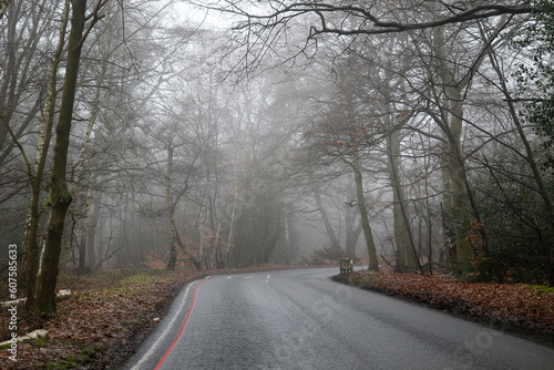 Misty Road in Epping Forest, United Kingdom