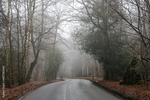 Misty Road in Epping Forest, United Kingdom
