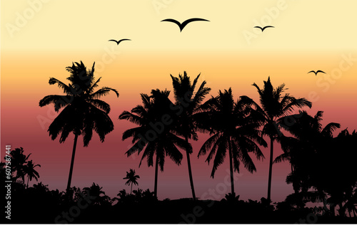 Tropical sunset, palm trees