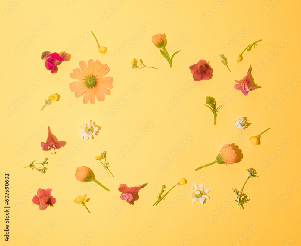 Creative minimal arrangement of colorful flowers. Summer concept. Flat lay.