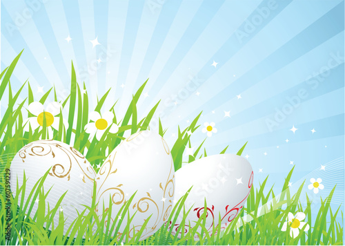 Easter eggs on the spring  meadow