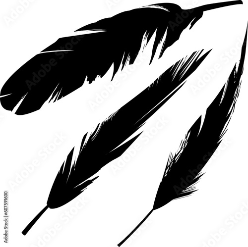 Vector illustrations of various bird feathers in grunge style.