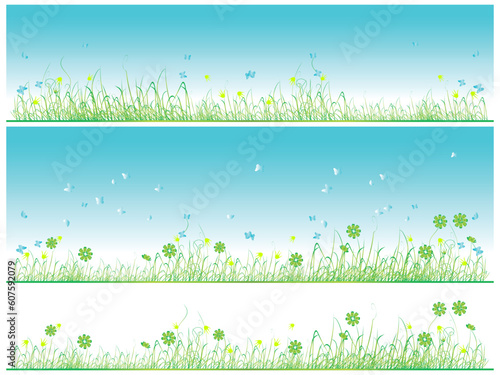 Grass green, summer background, flowers and butterflies