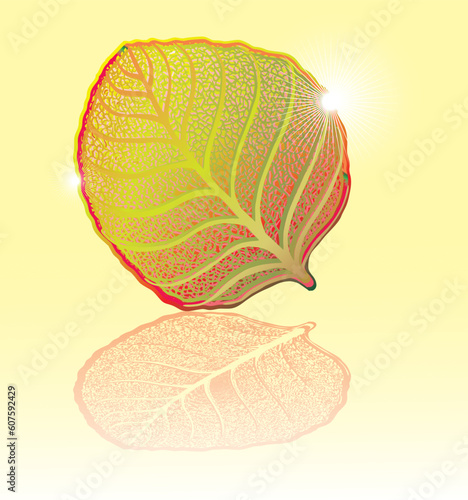 High detailed leaf for designer