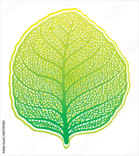 High detailed leaf for designer