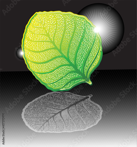 High detailed leaf for designer