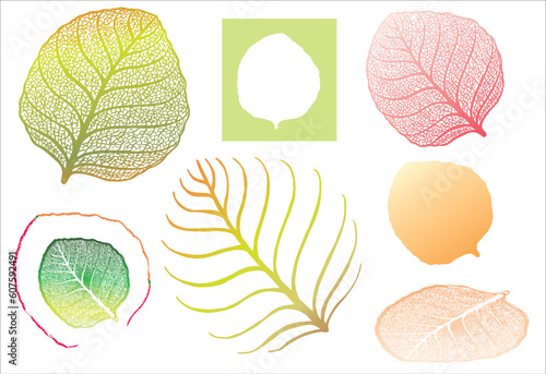 High detailed leaf for designer