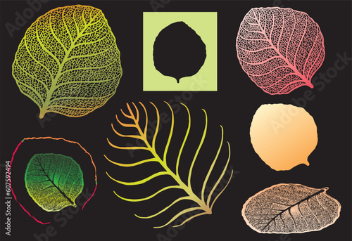 High detailed leaf for designer