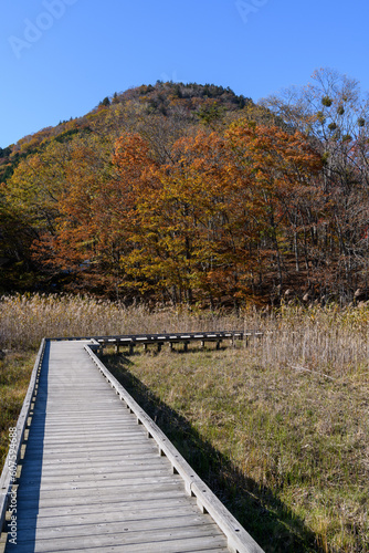 秋の塩原の大沼公園