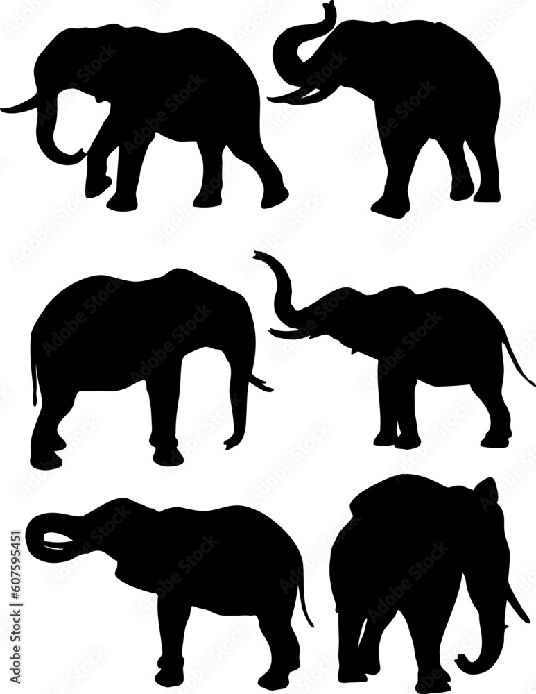 Silhouettes of elephants in different poses