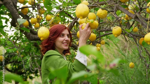 Girl collects yellow bergamots outdoor  photo