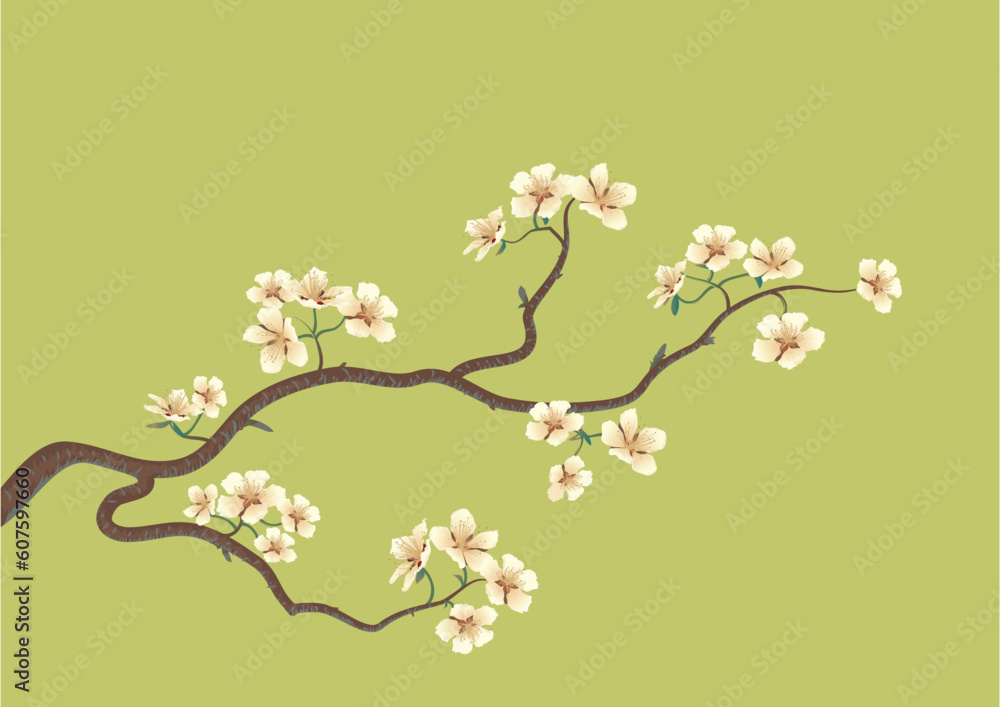 Fototapeta premium This is the vector illustration of a flowered sakura, japanese cherry tree