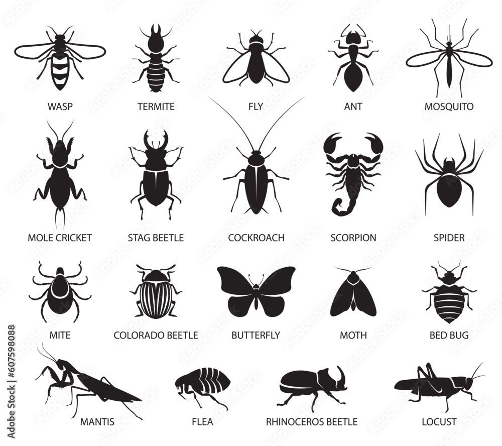 Insects icon set. Signs of a variety of insects, butterflies, pests and parasites. Pest control. Vector illustration