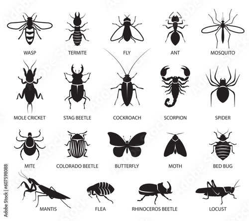Insects icon set. Signs of a variety of insects, butterflies, pests and parasites. Pest control. Vector illustration © Larisa
