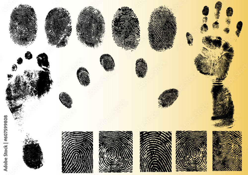 Black and White Vector Fingerprint and footprint elements - Very accurately scanned and traced ( Vectors are transparent so it can be overlaid on other images, vectors etc.) Black and White Vector Fingerprint and footprint elements - Very accurately scanned and traced ( Vectors are transparent so it can be overlaid on other images, vectors etc.)