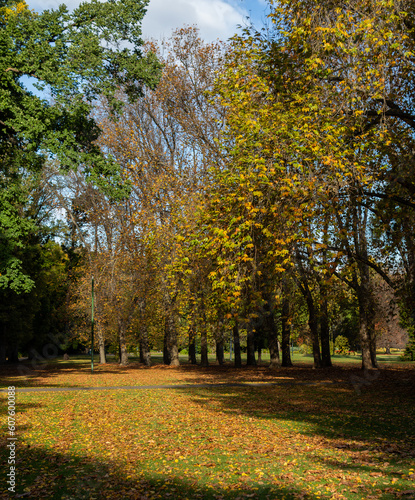 Colourful autumn leaves, trees and grounds