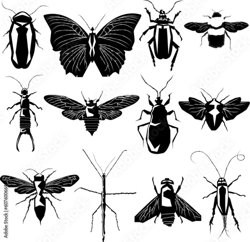 Insect and bug collection in detailed vector silhouette © Designpics