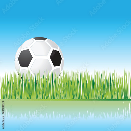 football on grass  nature  vector illustration