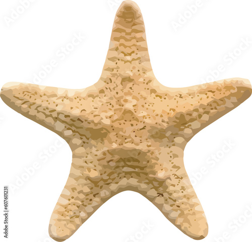 Vector starfish isolated on white background