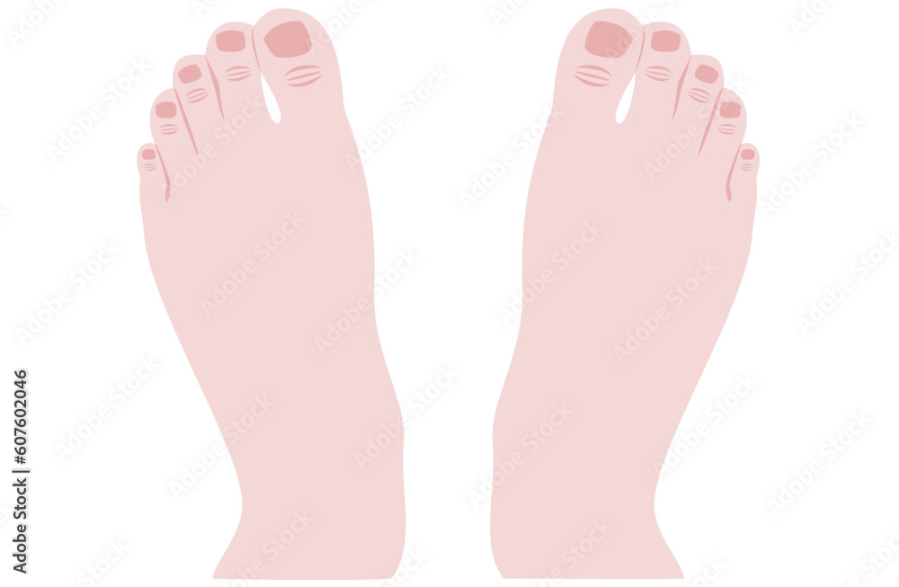 A isolated pair of human feet A isolated pair of human feet