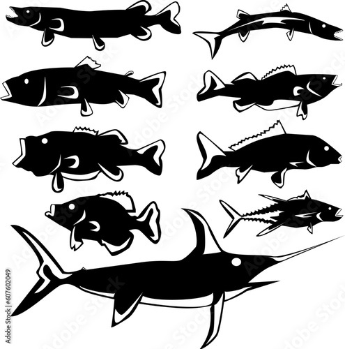 Freshwater and saltwater fish in vector silhouette with stylized illustration