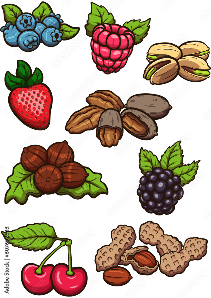 Nuts and Berries. Vector clip art illustration with simple gradients