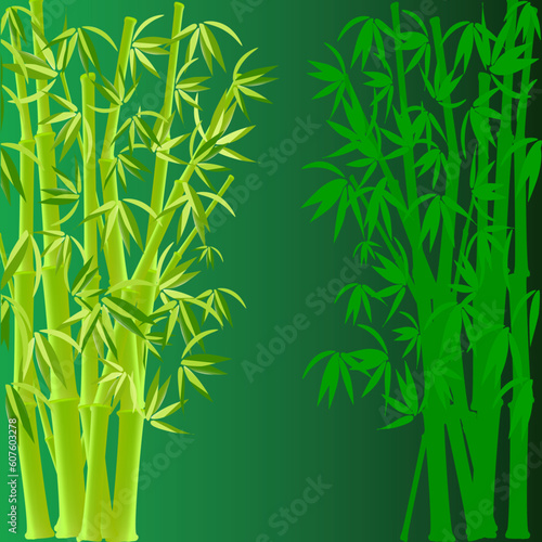 Fototapeta Naklejka Na Ścianę i Meble -  vector illustration of bamboo on green