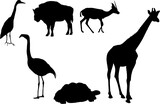 Black animals silhouette vector