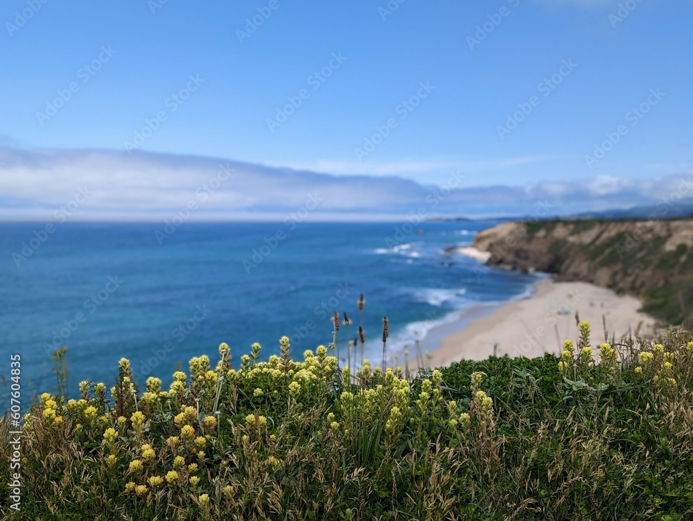 view of the coastal cliffs and Pacific Ocean beach in Half Moon Bay, California