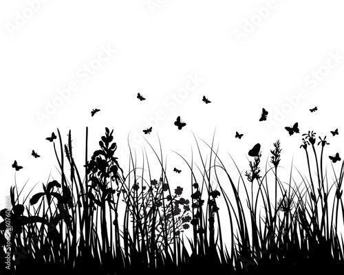 Vector grass silhouettes background for design use © Designpics