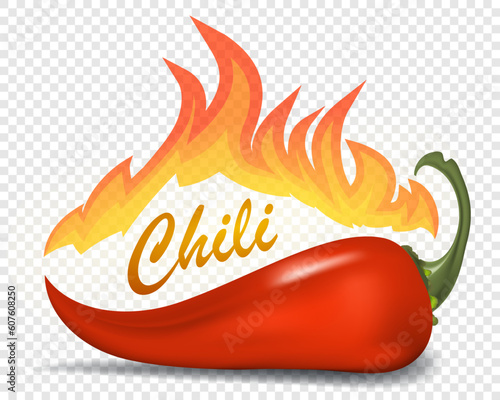 Red chili pepper with blazing fire. Hot spicy chili pepper vector illustration for logo or design.