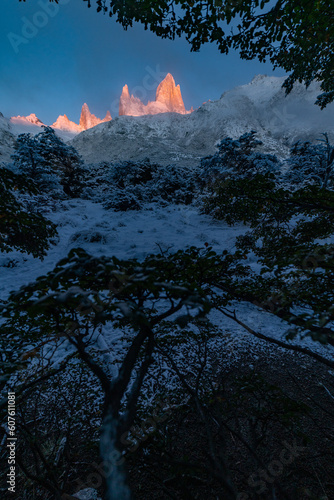 Sunrise on a mountain in a snowy forest